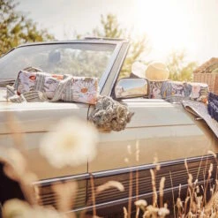 Picknickdecke L 175 X B 154cm BETWEEN FLOWERS In Creme -Küche Store butlers picknickdecke l 175 x b 154cm between flowers in creme 11