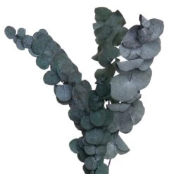 Trockenblumen Blumenstrauß FLOWER MARKET In Grün 8 Trockenblumen Blumenstrauß FLOWER MARKET In Grün -Küche Store butlers trockenblumen blumenstrauss flower market in grun 2