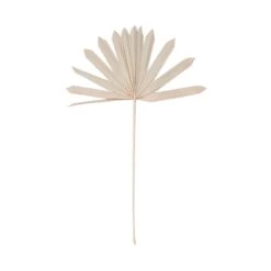 Trockenblumen Palmblatt Länge 60cm FLOWER MARKET In Natur -Küche Store butlers trockenblumen palmblatt lange 60cm flower market in natur 2