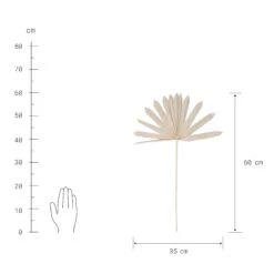 Trockenblumen Palmblatt Länge 60cm FLOWER MARKET In Natur -Küche Store butlers trockenblumen palmblatt lange 60cm flower market in natur 3